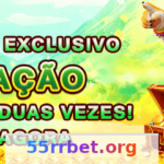 Sobre Nós na 55rr: Informações Essenciais Article Image 1