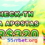 55rr Blog: Guia Completo de Apostas e Cassino Article Image 1
